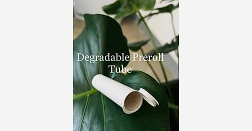 Degradable Pre Roll Tube (PLA)